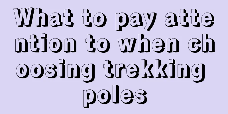 What to pay attention to when choosing trekking poles