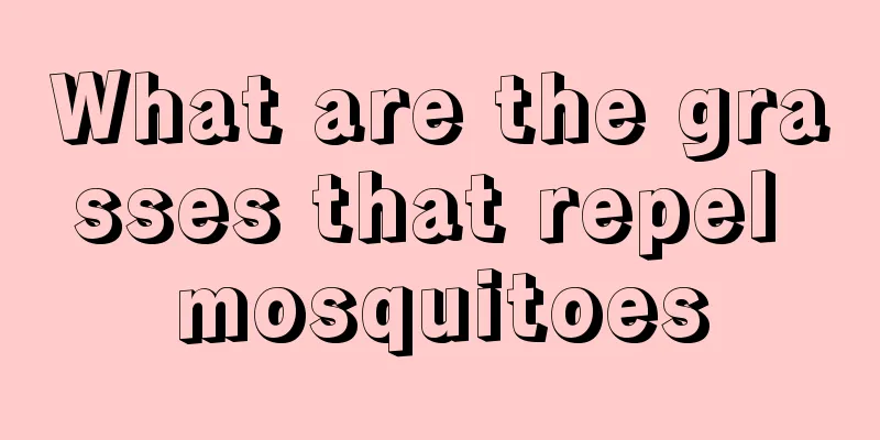 What are the grasses that repel mosquitoes