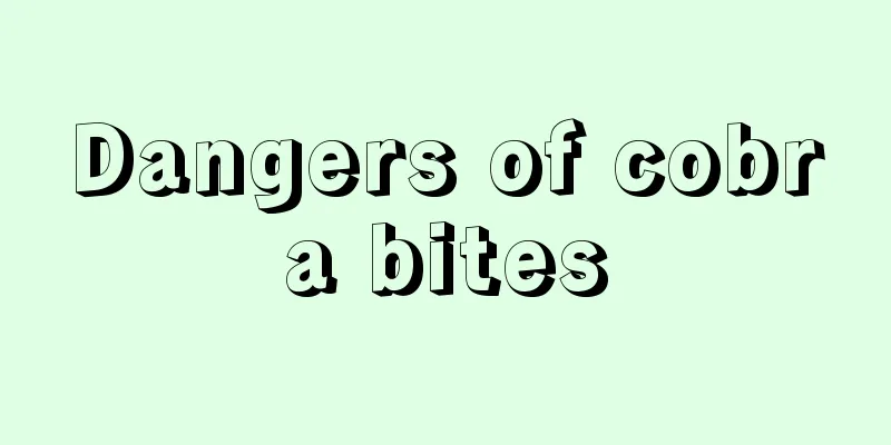 Dangers of cobra bites