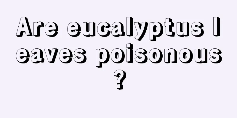 Are eucalyptus leaves poisonous?