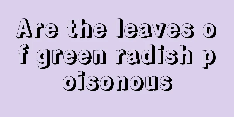 Are the leaves of green radish poisonous