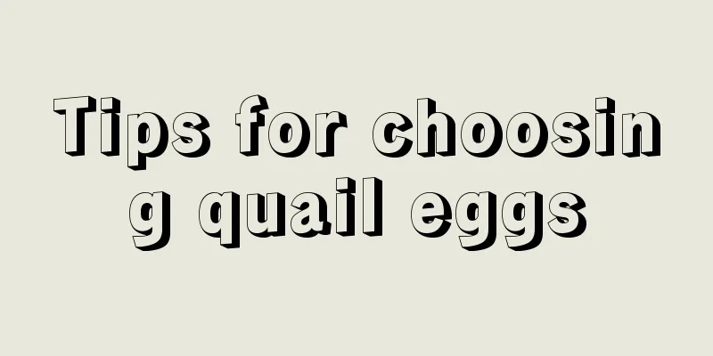 Tips for choosing quail eggs