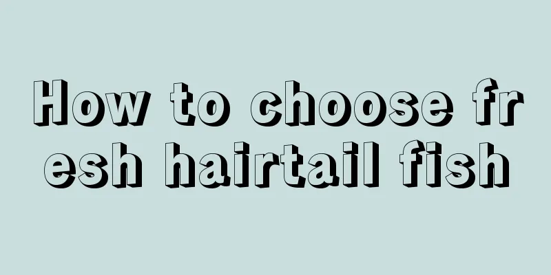 How to choose fresh hairtail fish