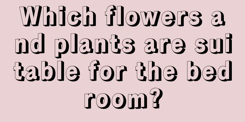 Which flowers and plants are suitable for the bedroom?