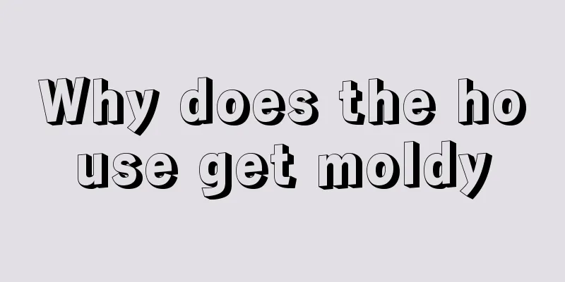 Why does the house get moldy