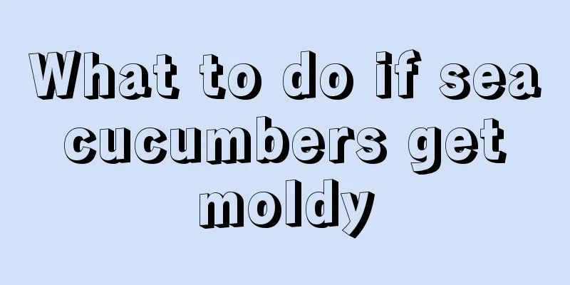 What to do if sea cucumbers get moldy