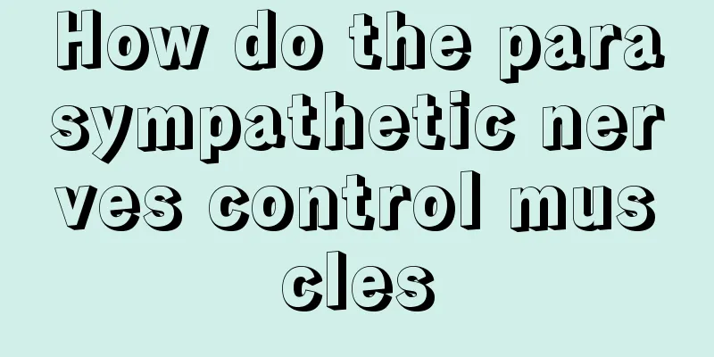 How do the parasympathetic nerves control muscles
