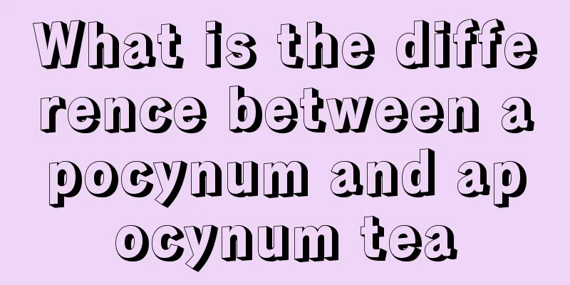 What is the difference between apocynum and apocynum tea