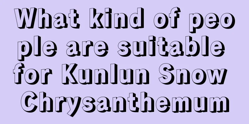 What kind of people are suitable for Kunlun Snow Chrysanthemum