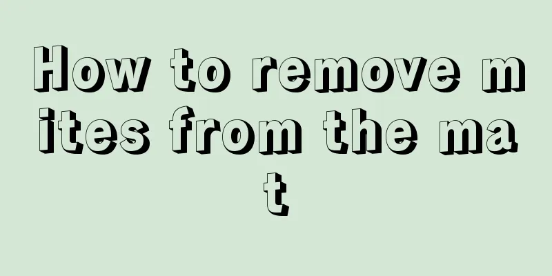 How to remove mites from the mat