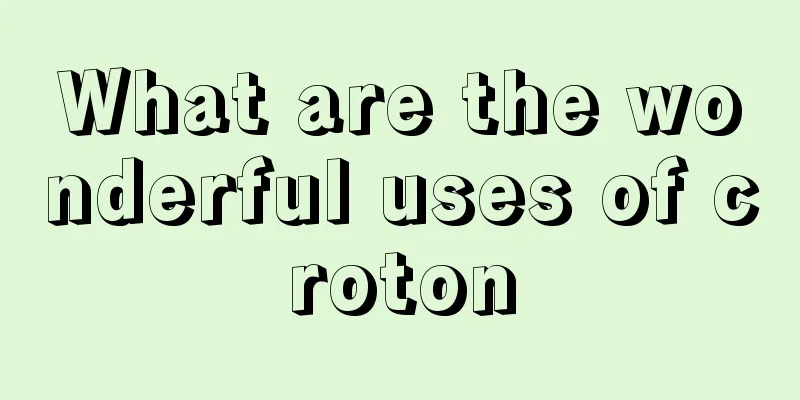 What are the wonderful uses of croton