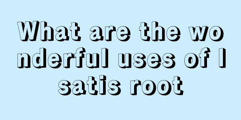What are the wonderful uses of Isatis root