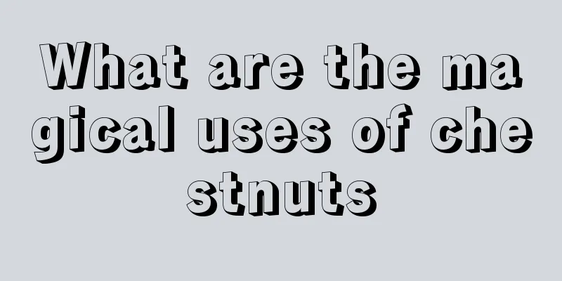 What are the magical uses of chestnuts