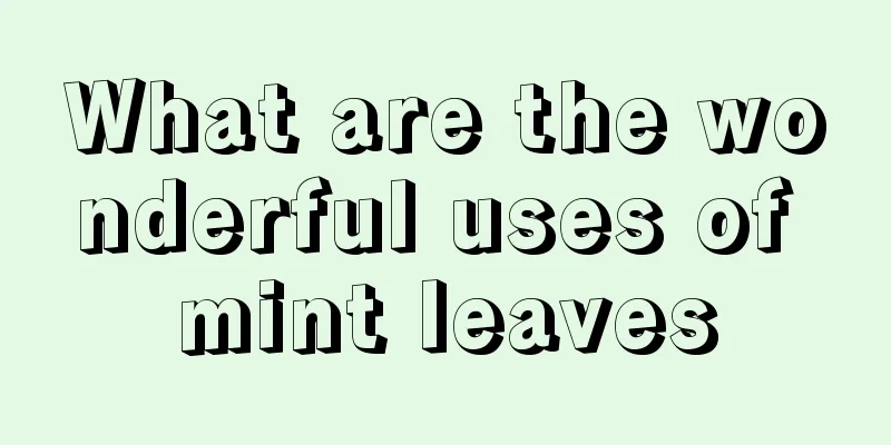 What are the wonderful uses of mint leaves