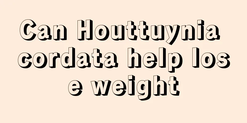 Can Houttuynia cordata help lose weight