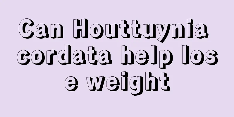 Can Houttuynia cordata help lose weight