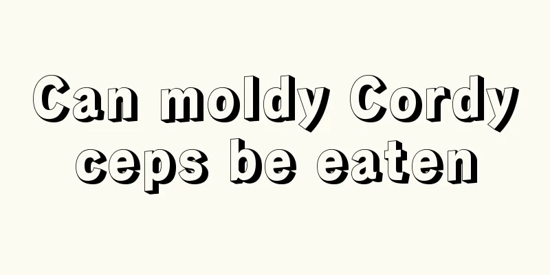 Can moldy Cordyceps be eaten