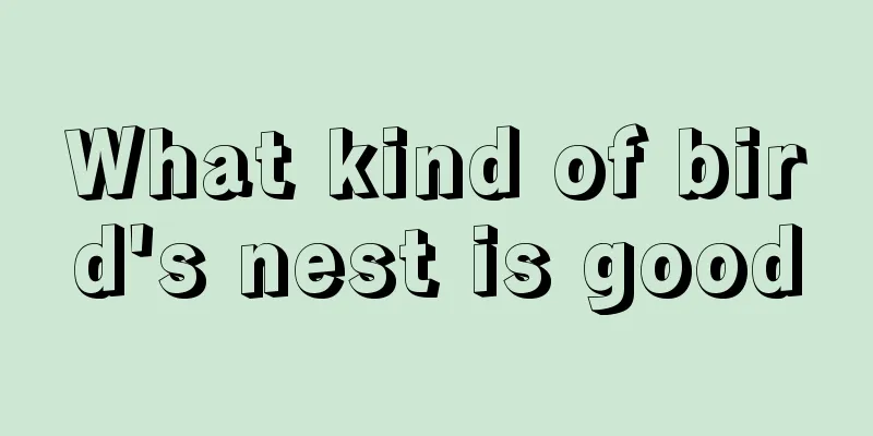 What kind of bird's nest is good