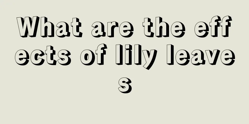 What are the effects of lily leaves