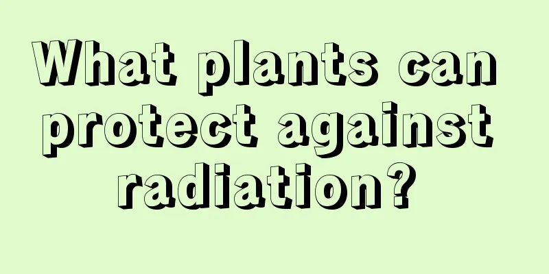 What plants can protect against radiation? 