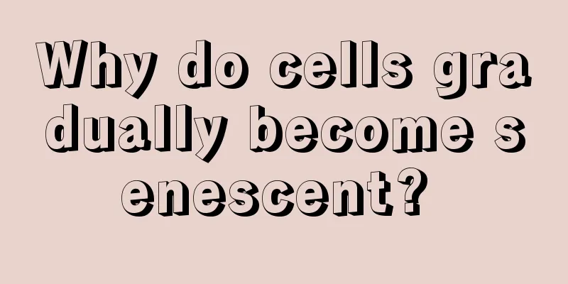 Why do cells gradually become senescent? 