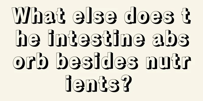What else does the intestine absorb besides nutrients? 