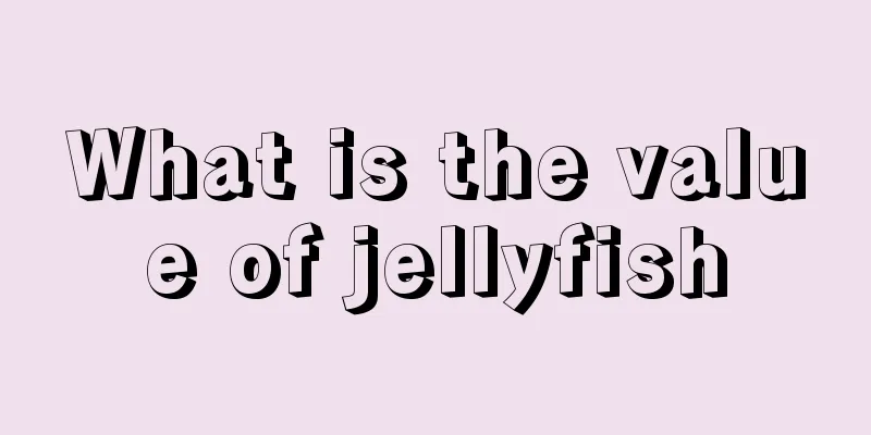 What is the value of jellyfish