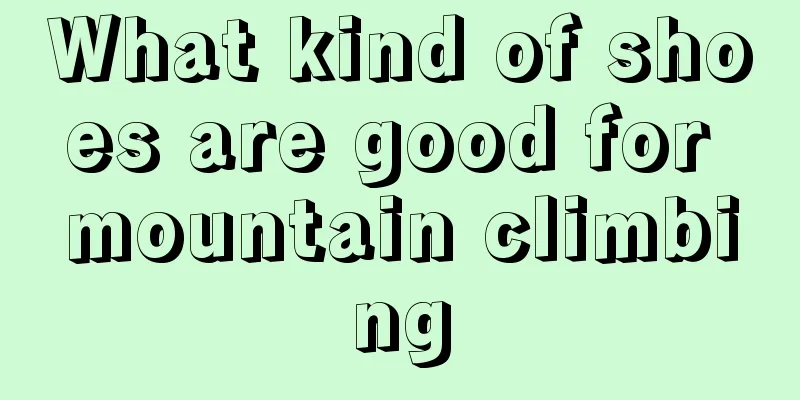 What kind of shoes are good for mountain climbing