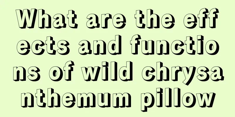 What are the effects and functions of wild chrysanthemum pillow