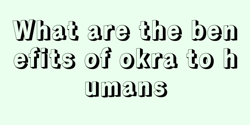 What are the benefits of okra to humans