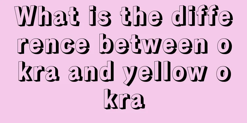 What is the difference between okra and yellow okra