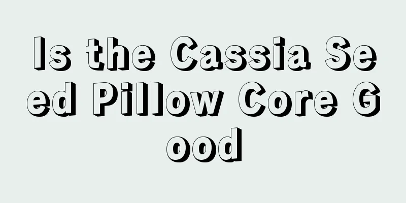 Is the Cassia Seed Pillow Core Good