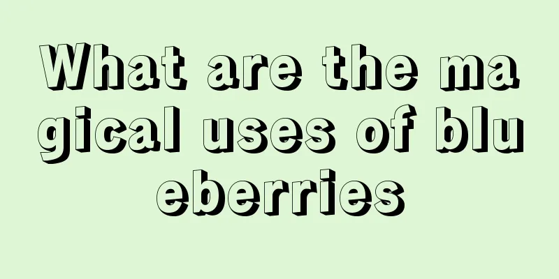 What are the magical uses of blueberries