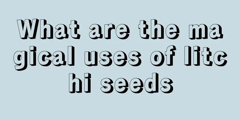 What are the magical uses of litchi seeds