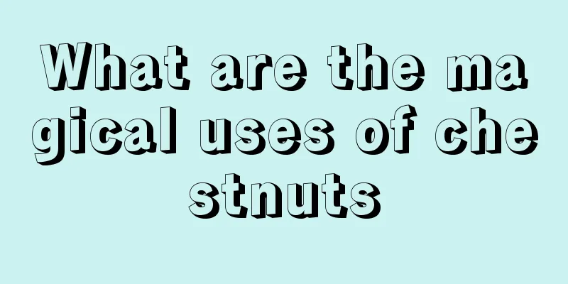 What are the magical uses of chestnuts