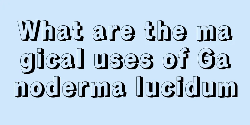 What are the magical uses of Ganoderma lucidum