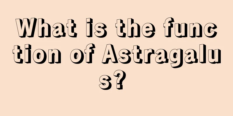 What is the function of Astragalus? 