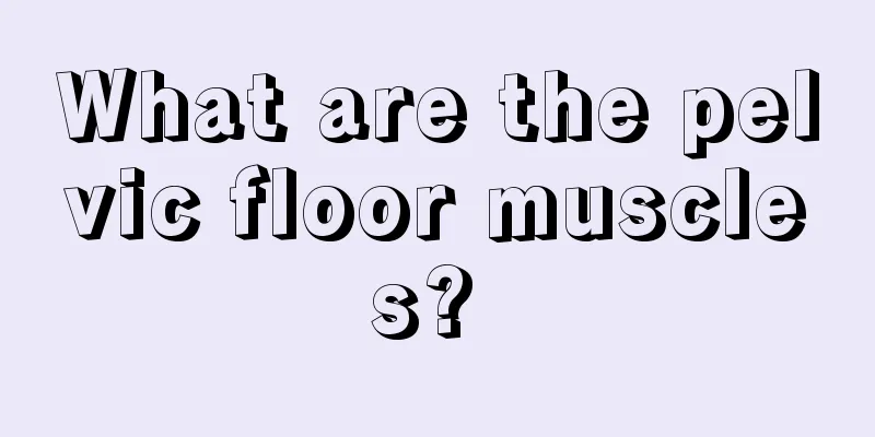 What are the pelvic floor muscles? 