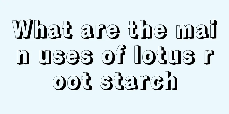 What are the main uses of lotus root starch