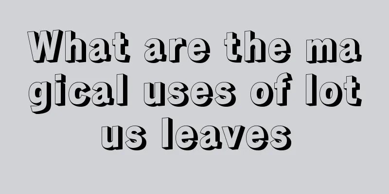 What are the magical uses of lotus leaves