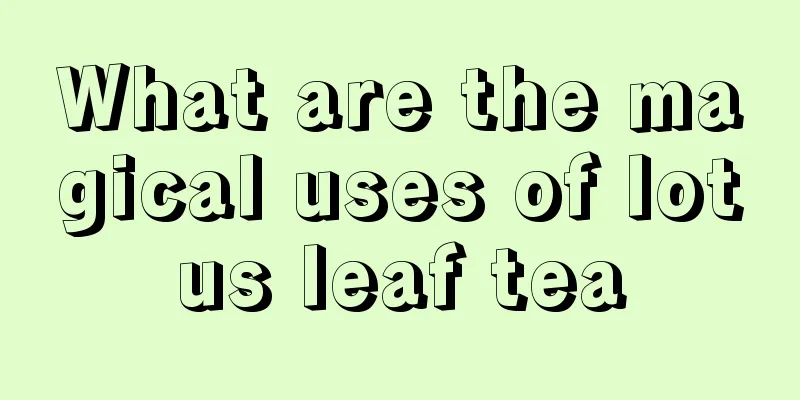 What are the magical uses of lotus leaf tea