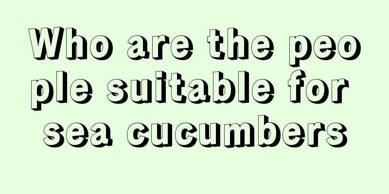 Who are the people suitable for sea cucumbers
