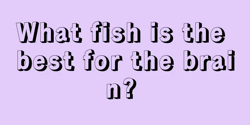 What fish is the best for the brain? 