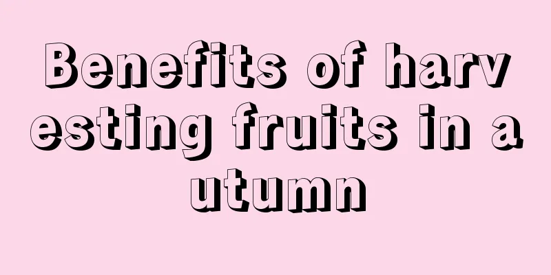 Benefits of harvesting fruits in autumn