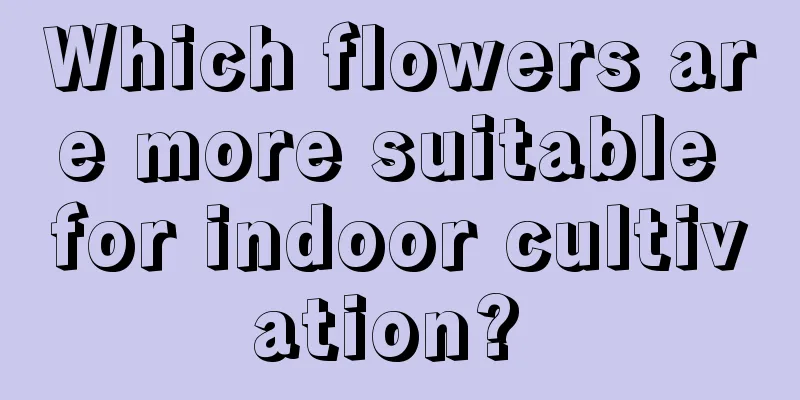 Which flowers are more suitable for indoor cultivation? 