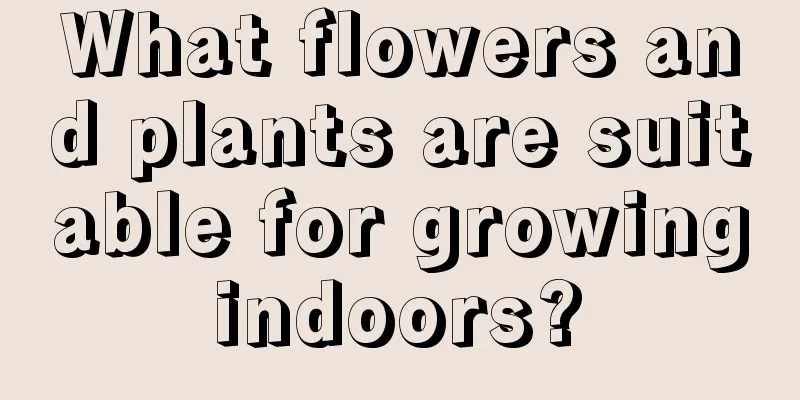 What flowers and plants are suitable for growing indoors? 