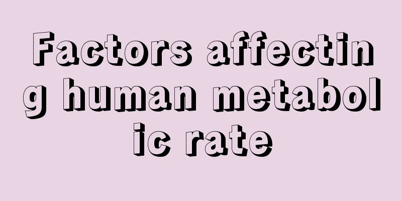 Factors affecting human metabolic rate