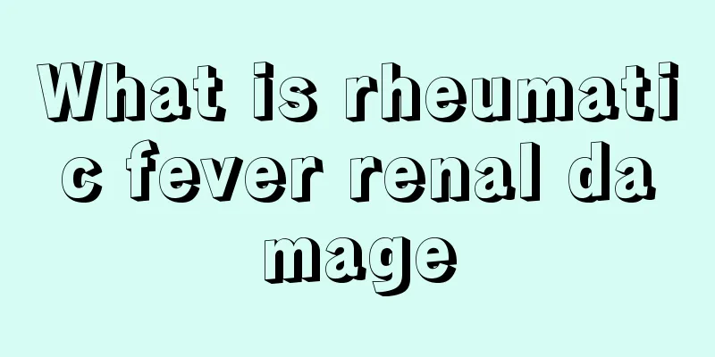 What is rheumatic fever renal damage