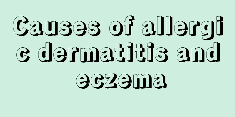 Causes of allergic dermatitis and eczema