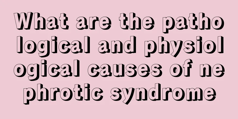 What are the pathological and physiological causes of nephrotic syndrome